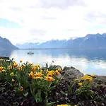 View And - Swiss