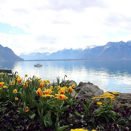 View And - Swiss