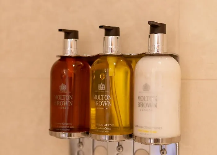 Appartement View And - Swiss Montreux